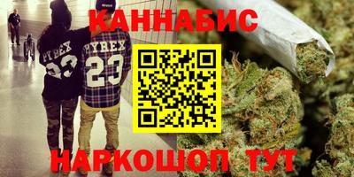 шишки Гусиноозёрск