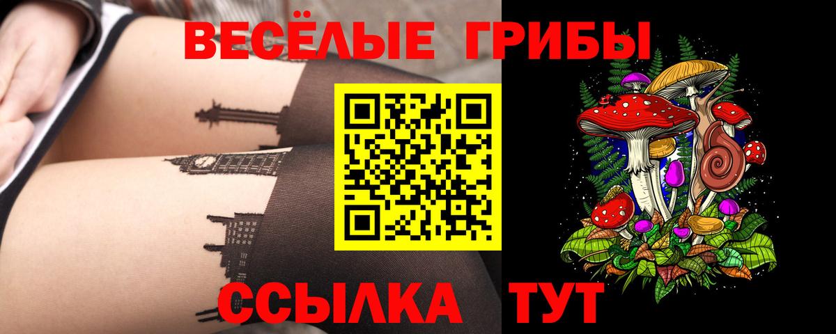 Галлюциногенные грибы Psilocybe Нижний Новгород